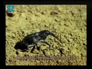 Урок 9 жители антропогенных экосистем изменения в экосистемах