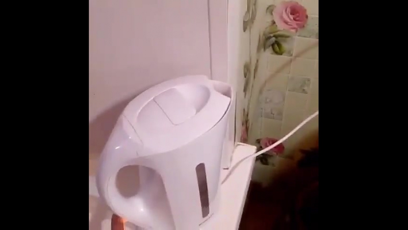 Как надо варить яйца