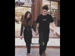 Alligator videos 20191221 18 mp4