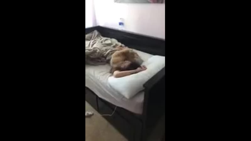 Пора просыпаться