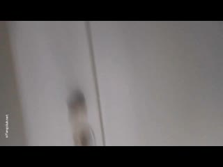 Twitter 20200712 052640 mp4