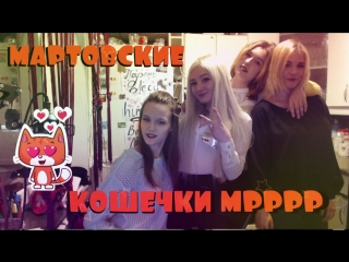 Мартовские кошечки мррр