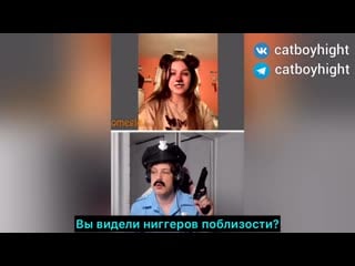 Медвежонок прячет ниггеров от офицера catboykami