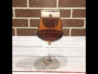 Новая варка salek amber lager