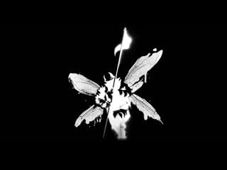 Smola hall live/nikedemin