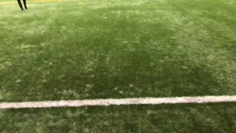 Фаз выборгский 2012 live