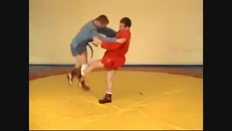 Лучшие броски и болевые из боевого самбо