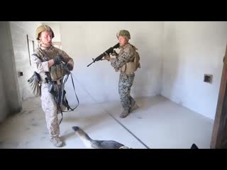 Marsoc canine handlers share tactics techniques during joint training