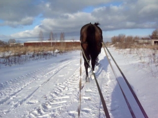 Эх саночки