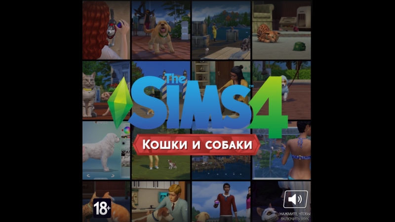 The sims 4 кошки и молодые пройди тест