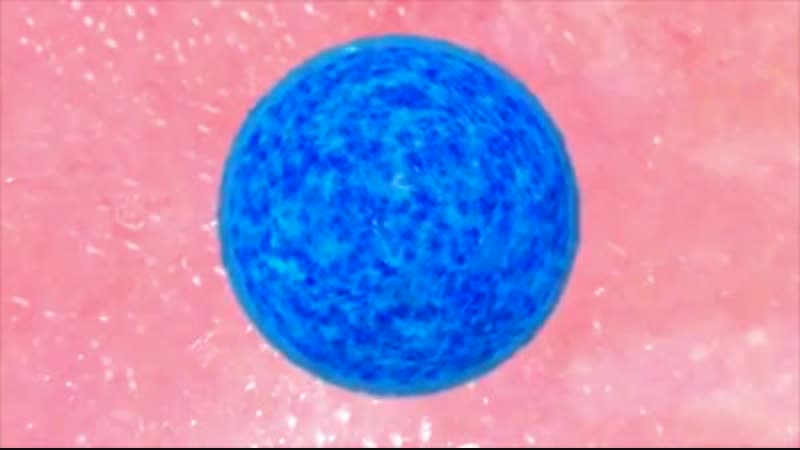 Оплодотворение яйцеклетки