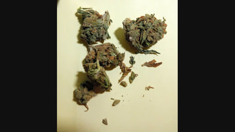 Молодые от супрун украинцы о легализации марихуаны