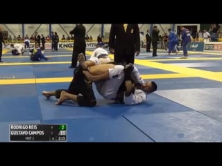 Black belt rodrigo reis vs gustavo campos