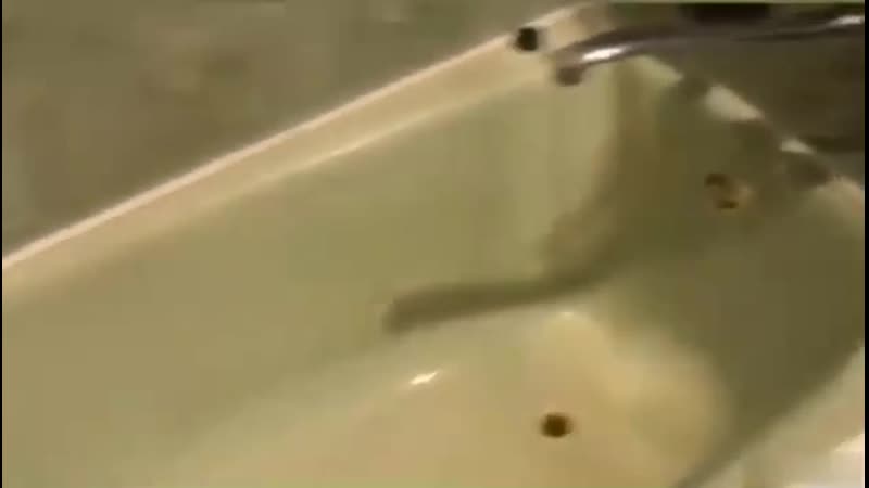 Прокачал свою ванную