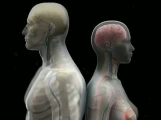 Мозгу легче понимать речь мужчин, чем женщин