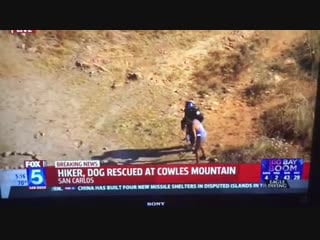 Важное сообщение (vhs video)