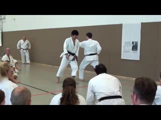 Sensei tatsuya naka kata meikyo