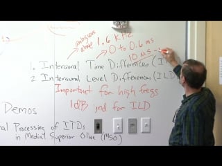 Sensory systems 20 sound localization 1 psychophysics and neural circuits