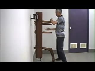 徐尚田 chu shong tin 木人樁 mook yan jong