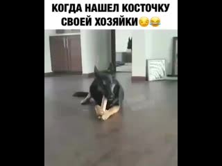 Видео от елисея елисеевича