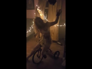 Zombie in a haunted house 2015