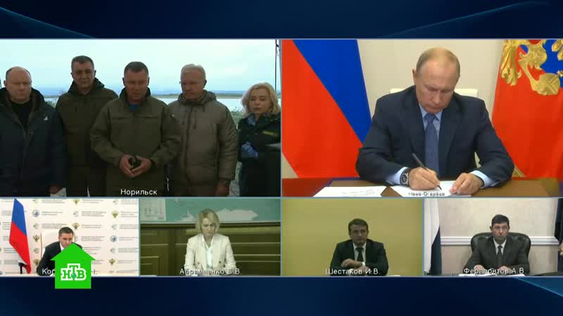 Международная пилорама 20 июня 2020