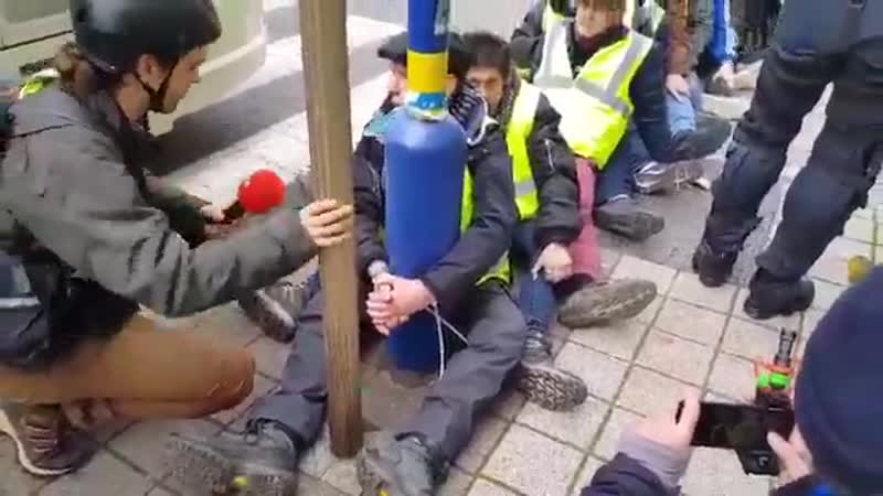 Это бельгия вот так полиция предложила членам опг "желтые жилеты" вместо штурма парламента просто пройти курс лечения простаты и