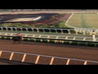 Maximum security galloping at del mar