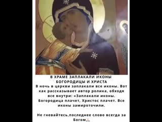 Inessa yanukyan 20201110 5 mp4