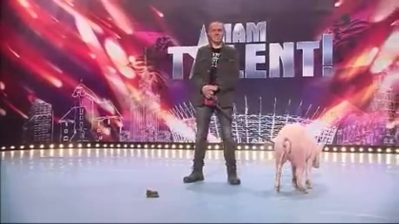 Курьёз на передаче польша ищет таланты впечатлительным и эстетам не смотреть!