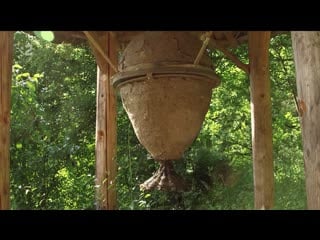 Majstri včiel (15) rosenfeld, včelí raj nemecko