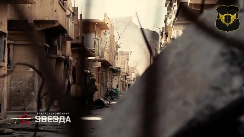 Боевые будни сил специальных операций (ссо) в пальмире