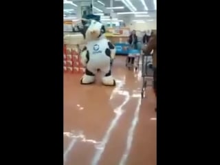 Vaca louca dançando no supermercado