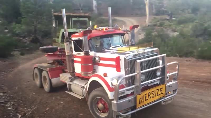 White и terex r 17