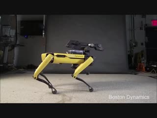 Bostondynamics (devil tigger)