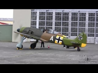 Focke wulf fw 190 "würger"