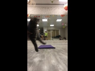 Студия йоги | коммунарка | yoga room live