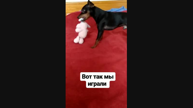 Tatyana kozhevnikova on instagramstories
