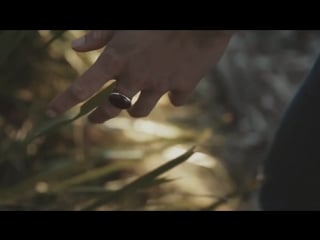 Amberholl baltic amber