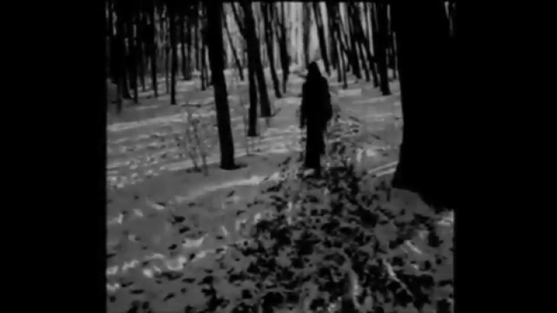 Moloch philosophie der depression (2011)