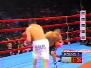 1995 12 15 oscar de la hoya vs jesse james leija (wbo lightweight title) (1)