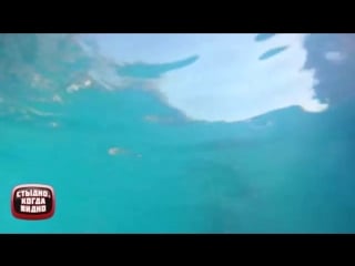 Rampant gallant woman is ready for battle and fucked