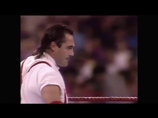 Wwf summerslam 1991