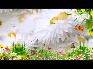 Pozdravlenie s 8 marta spcs me mp4