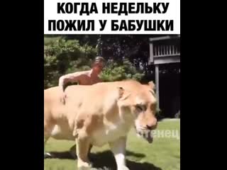 Когда нибудь генетики доиграются