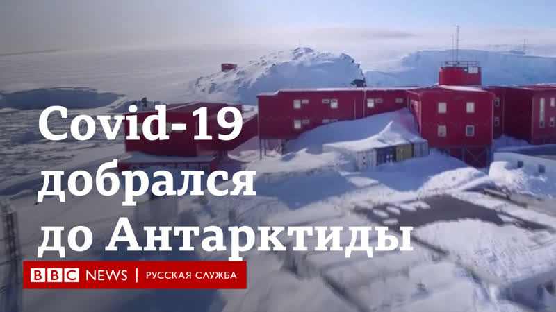 Полная изоляция как коронавирус добрался до антарктиды