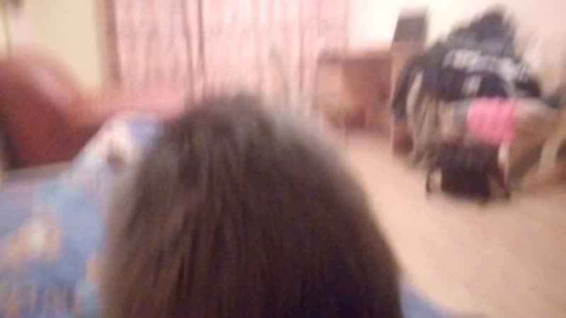 Кот жестка оттрахал своего хозяина (смотреть всем, угар весь день)