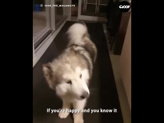 If you're happy and you know it say awoo!