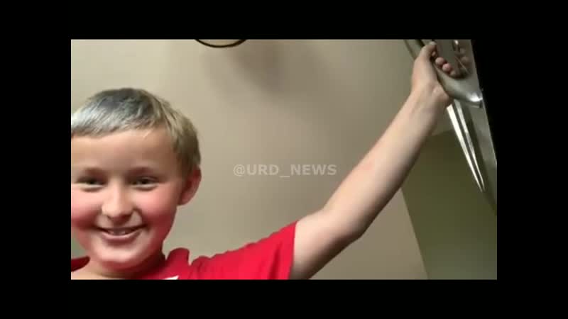 Микроволноа кот