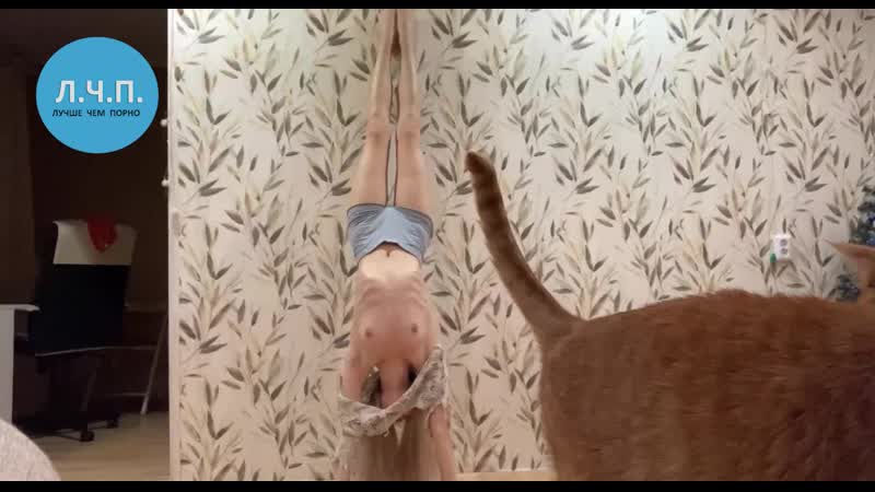 Девушка в стойке на руках засветила сиськи